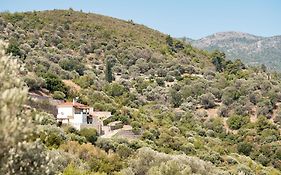 Villa Vicky